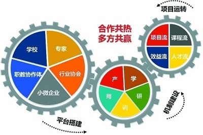 切花芍药的正确方法