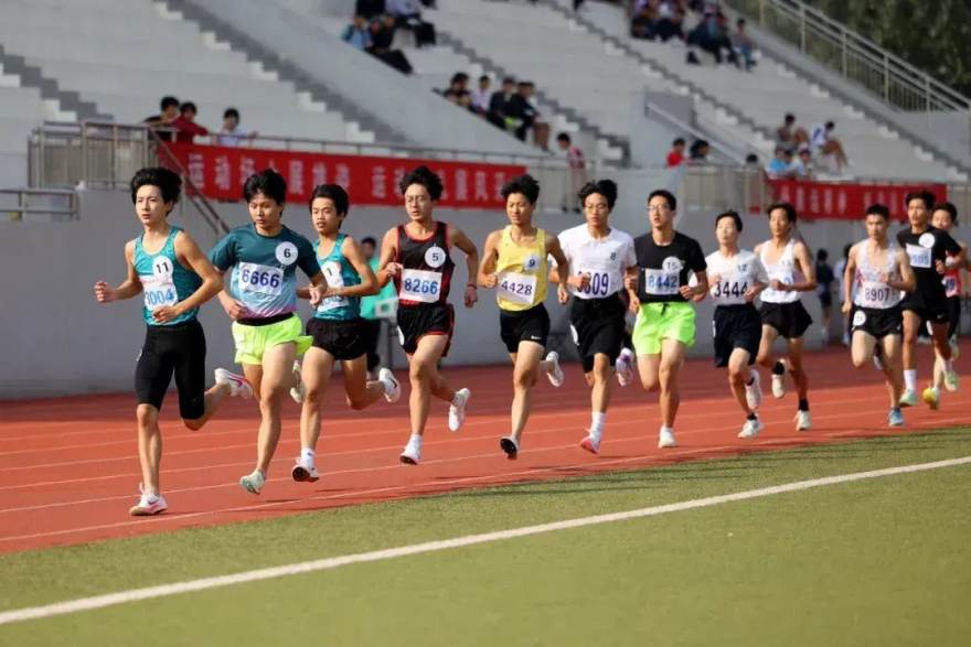 赛程密集期如何看懂轮换逻辑：从阵容深度到体能分配的观察指南